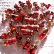 12 Nice Amulet of Huayruro Seeds in Small Bottle