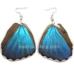 12 Peruvian Wholesale Morpho Blue Butterfly Wings Earrings