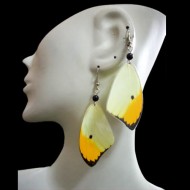 50 Peruvian Wholesale Butterfly Wings Earrings Assorted Images