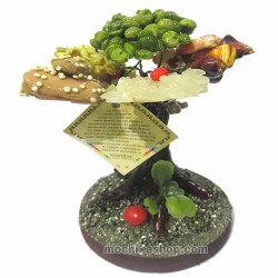 Peruvian Abundance Prosperity Bonsai Tree / Lucky Money