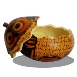 Peruvian Nice Small Chest of Owl Figurine handmade of Carved Gourd