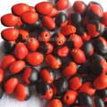 Huayruro Seed Beads