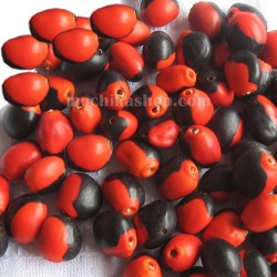 Wholesale 500 GR (0.55 lbs) of Male Huayruro Seed Beads Amazon Rainforest